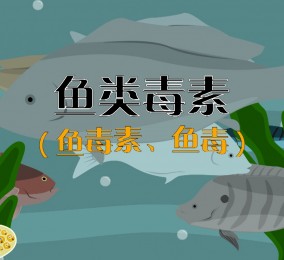 食品有意思：吃魚也中毒？ 