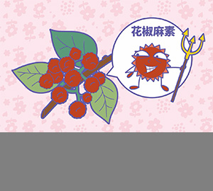 科普視頻：花椒為什么那么麻？（匹配百科詞條：花椒、花椒麻素）